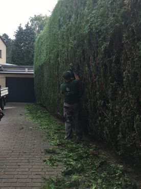 V & K Gebäudereinigung Hamburg Gartendienst und Winterdienst 03