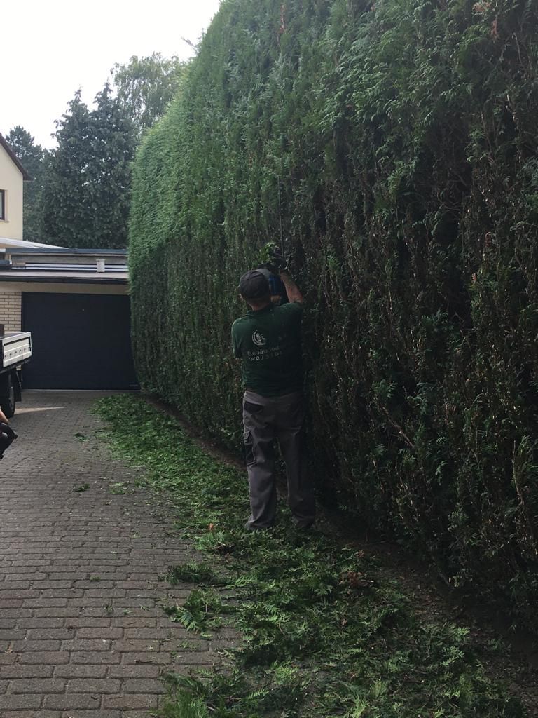 V & K Gebäudereinigung Hamburg Gartendienst und Winterdienst 03