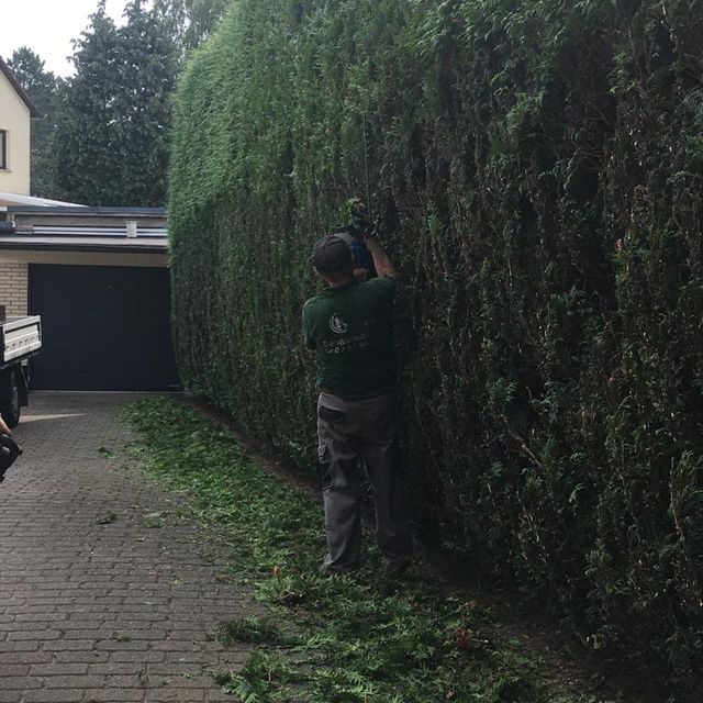 V & K Gebäudereinigung Hamburg Gartendienst und Winterdienst 03