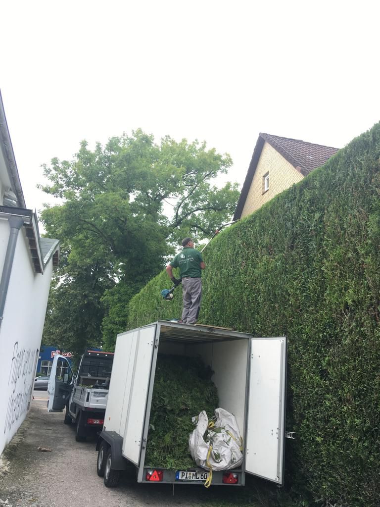 V & K Gebäudereinigung Hamburg Gartendienst und Winterdienst 06