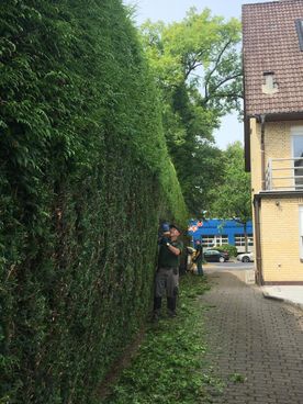 V & K Gebäudereinigung Hamburg Gartendienst und Winterdienst 05
