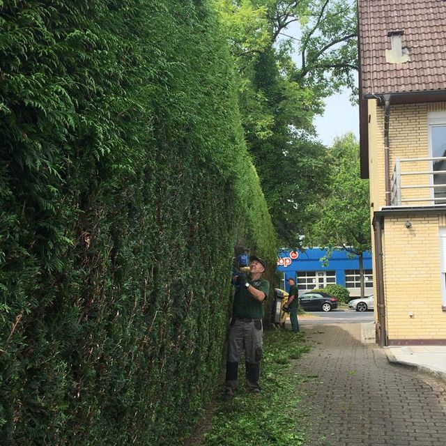 V & K Gebäudereinigung Hamburg Gartendienst und Winterdienst 05